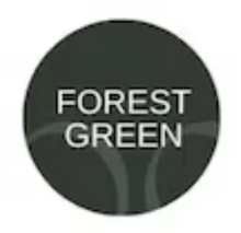 Load image into Gallery viewer, Joy To The World Sweatshirt (T&amp;CW)
